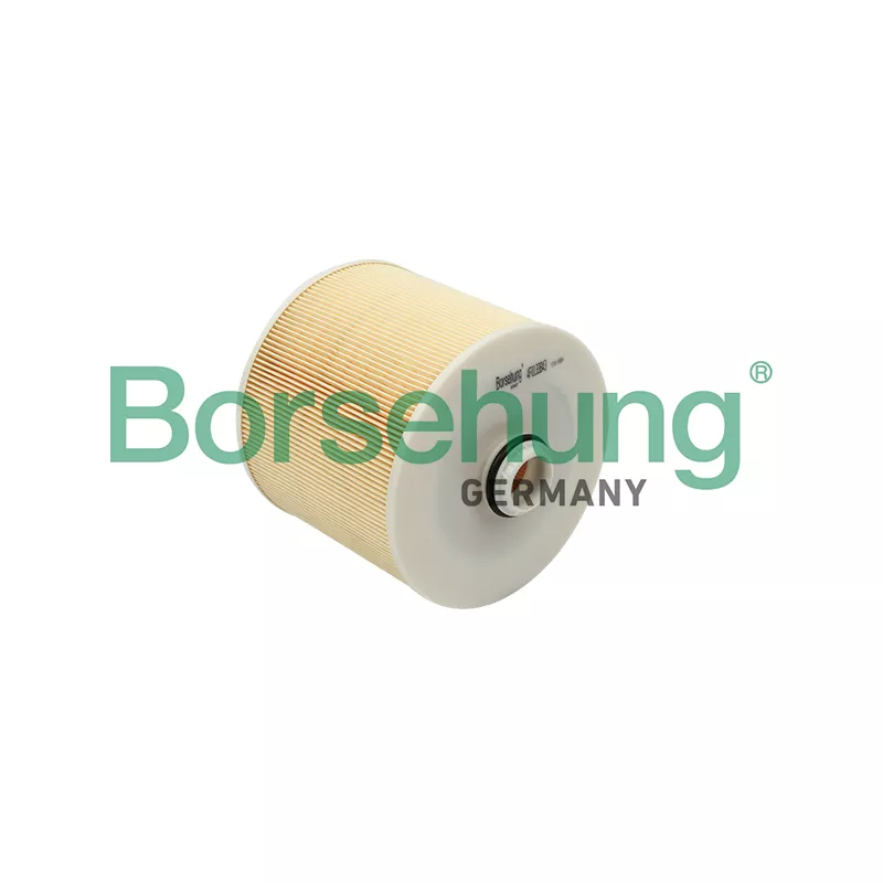 Filtre à air Borsehung B12807