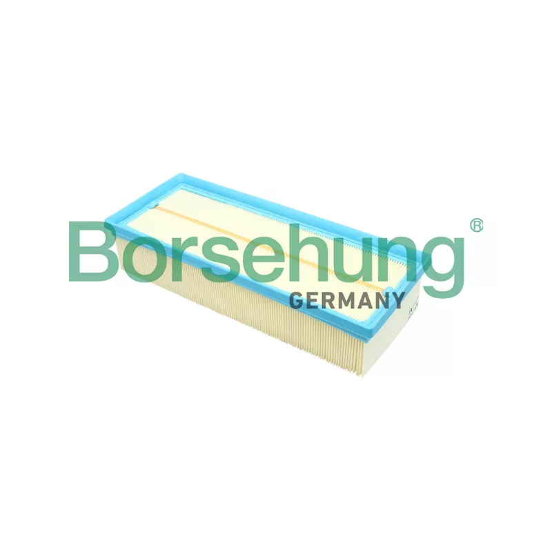 Filtre à air Borsehung B12811