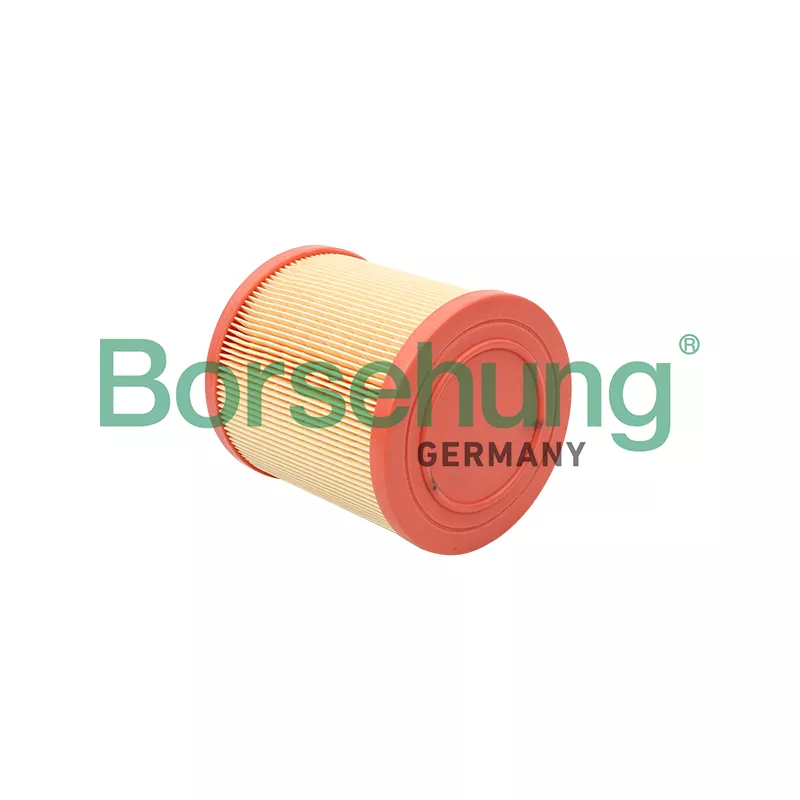 Filtre à air Borsehung B12813