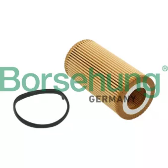 Filtre à huile Borsehung