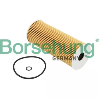 Filtre à huile Borsehung B12816