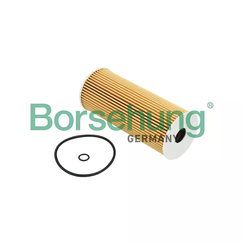 Filtre à huile Borsehung B12816