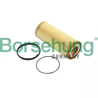 Filtre à huile Borsehung B12820