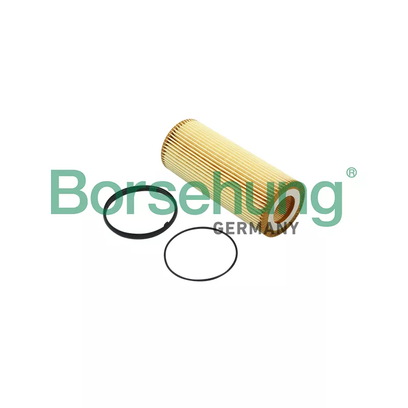 Filtre à huile Borsehung B12820