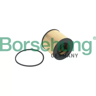 Filtre à huile Borsehung B12821