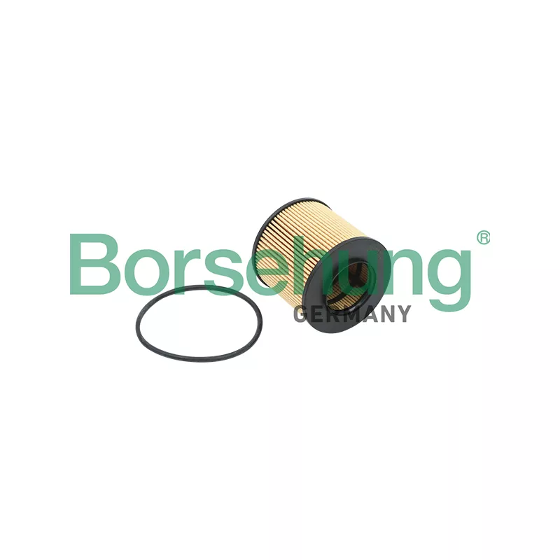 Filtre à huile Borsehung B12821