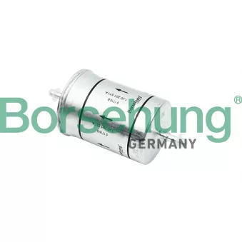 Filtre à carburant Borsehung B12825