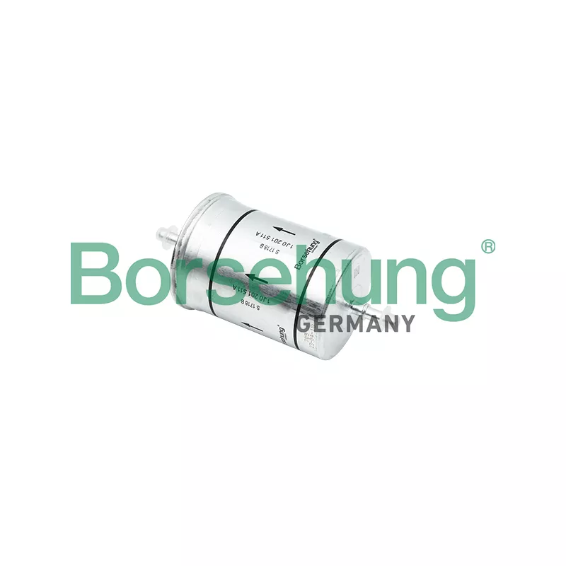 Filtre à carburant Borsehung B12825