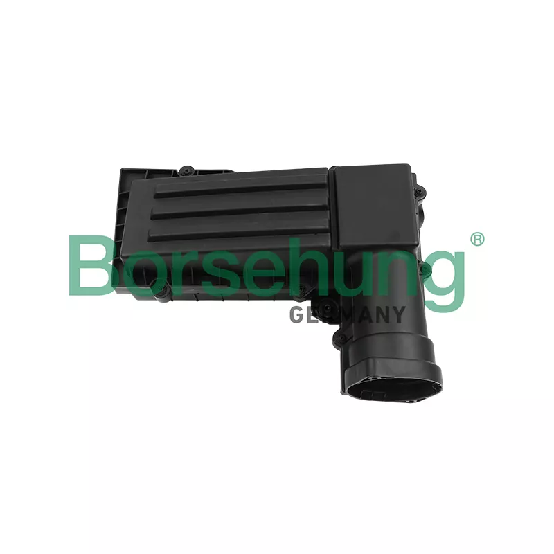 Filtre à air Borsehung B12846