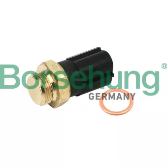 Interrupteur de température, ventilateur de radiateur Borsehung B13129