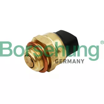 Interrupteur de température, ventilateur de radiateur Borsehung