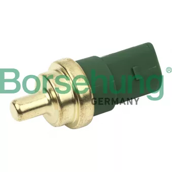Sonde de température, liquide de refroidissement Borsehung B13132