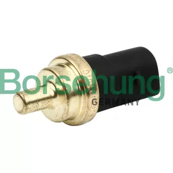 Sonde de température, liquide de refroidissement Borsehung B13133