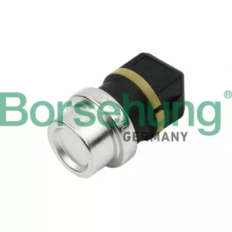 Sonde de température, liquide de refroidissement Borsehung B13134