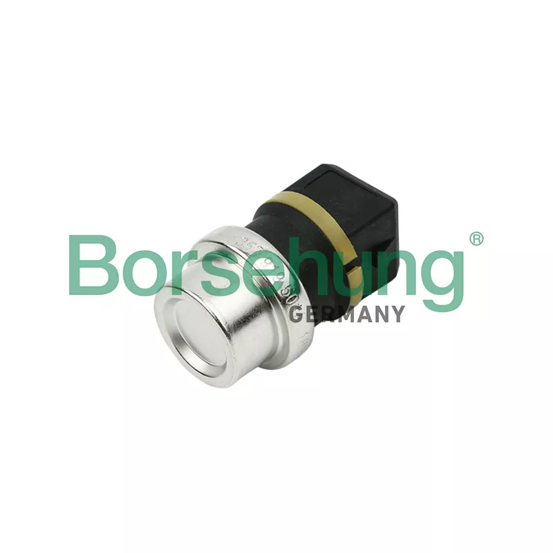 Sonde de température, liquide de refroidissement Borsehung B13134