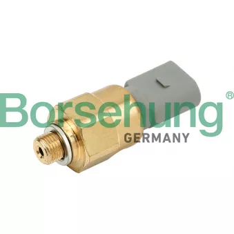 Indicateur de pression d'huile Borsehung