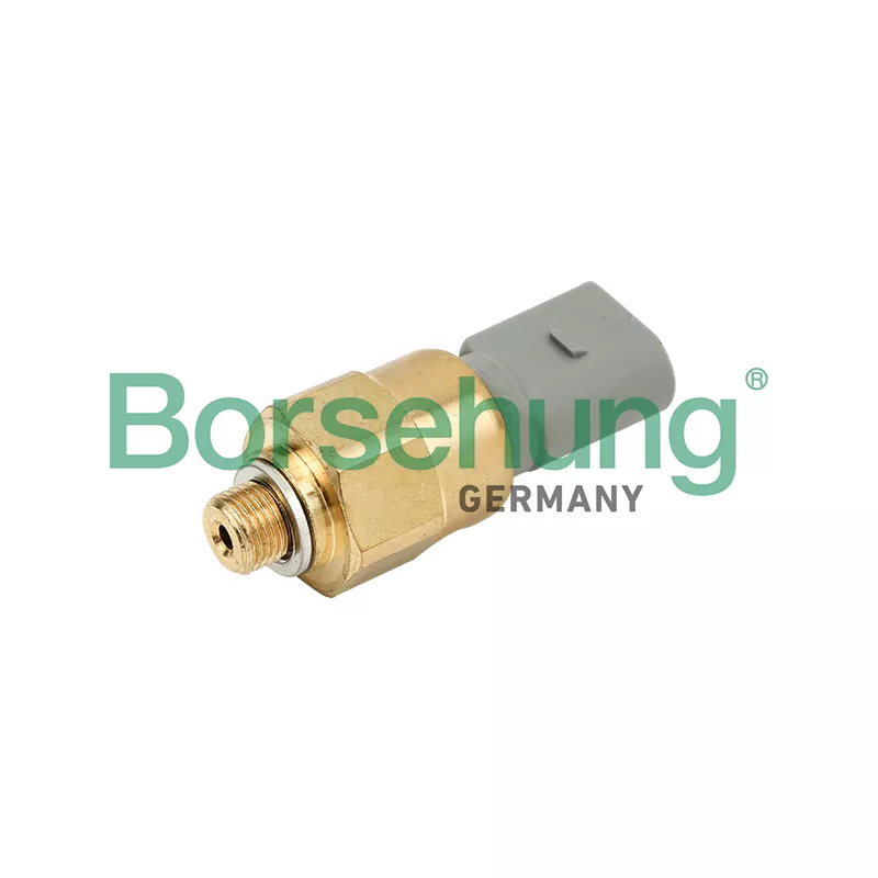 Indicateur de pression d'huile Borsehung B13135
