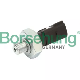 Indicateur de pression d'huile Borsehung B13137