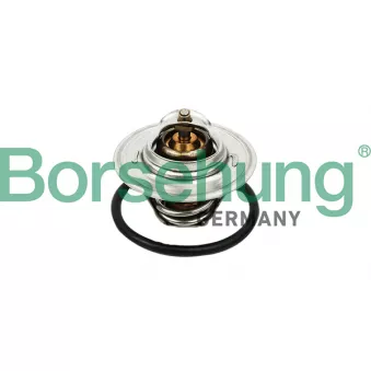 Thermostat, liquide de refroidissement Borsehung B13140