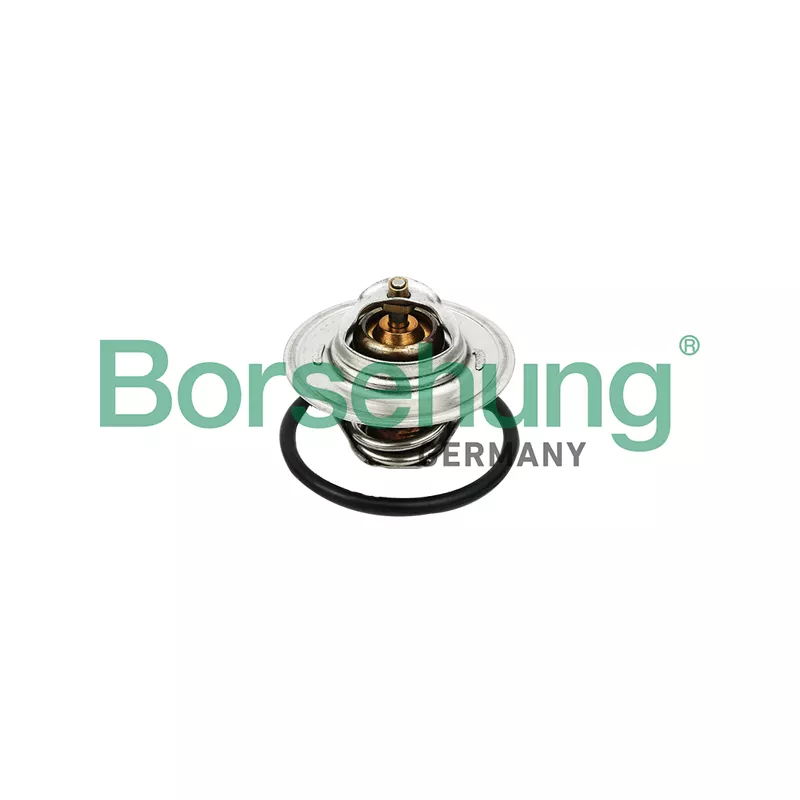 Thermostat, liquide de refroidissement Borsehung B13140