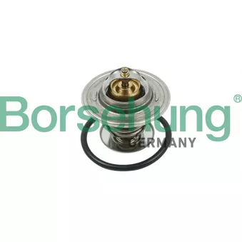 Thermostat, liquide de refroidissement Borsehung B13141