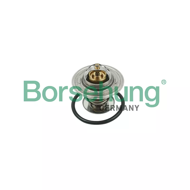 Thermostat, liquide de refroidissement Borsehung B13141