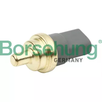 Sonde de température, liquide de refroidissement Borsehung B13146