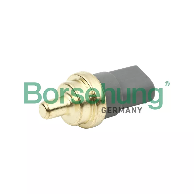 Sonde de température, liquide de refroidissement Borsehung B13146