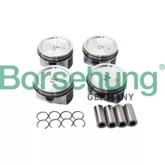 Jeu de segments de pistons Borsehung B13576