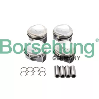 Jeu de segments de pistons Borsehung B13582