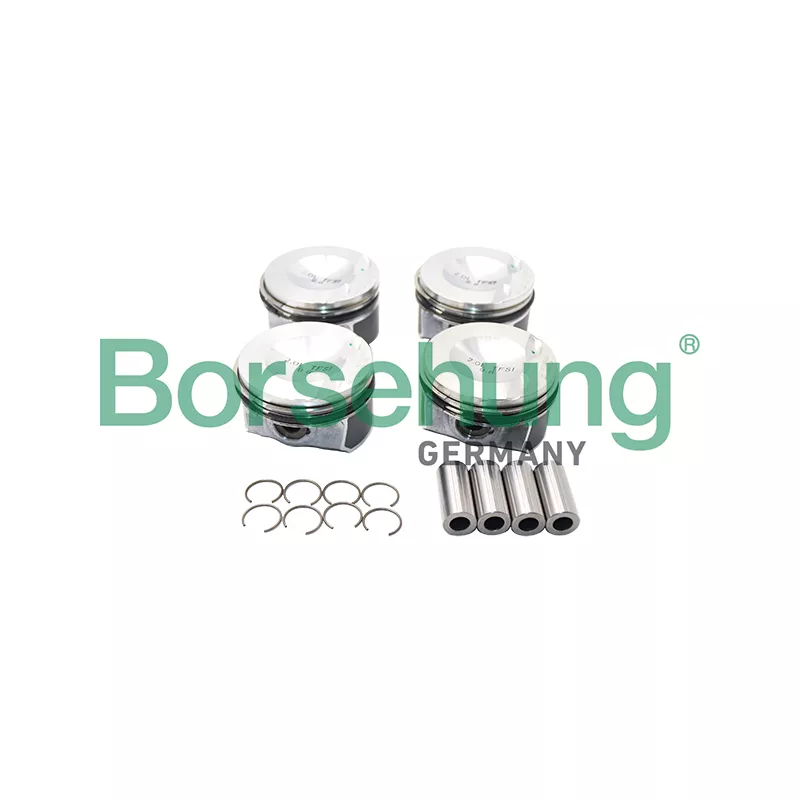 Jeu de segments de pistons Borsehung B13583