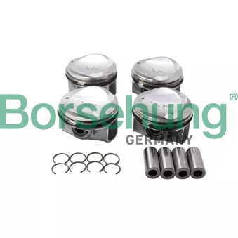 Jeu de segments de pistons Borsehung B13584