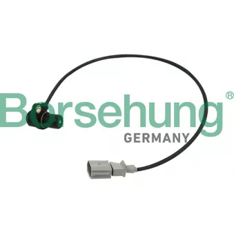 Capteur d'angle, vilebrequin Borsehung