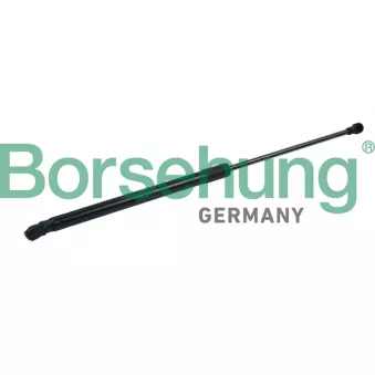 Vérin de hayon, de coffre Borsehung