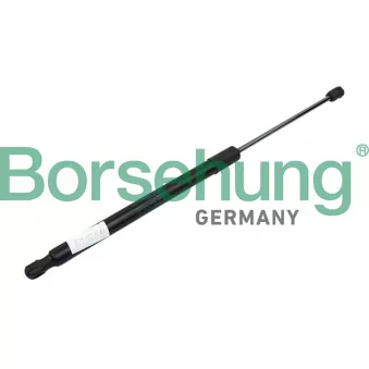 Vérin de hayon, de coffre Borsehung