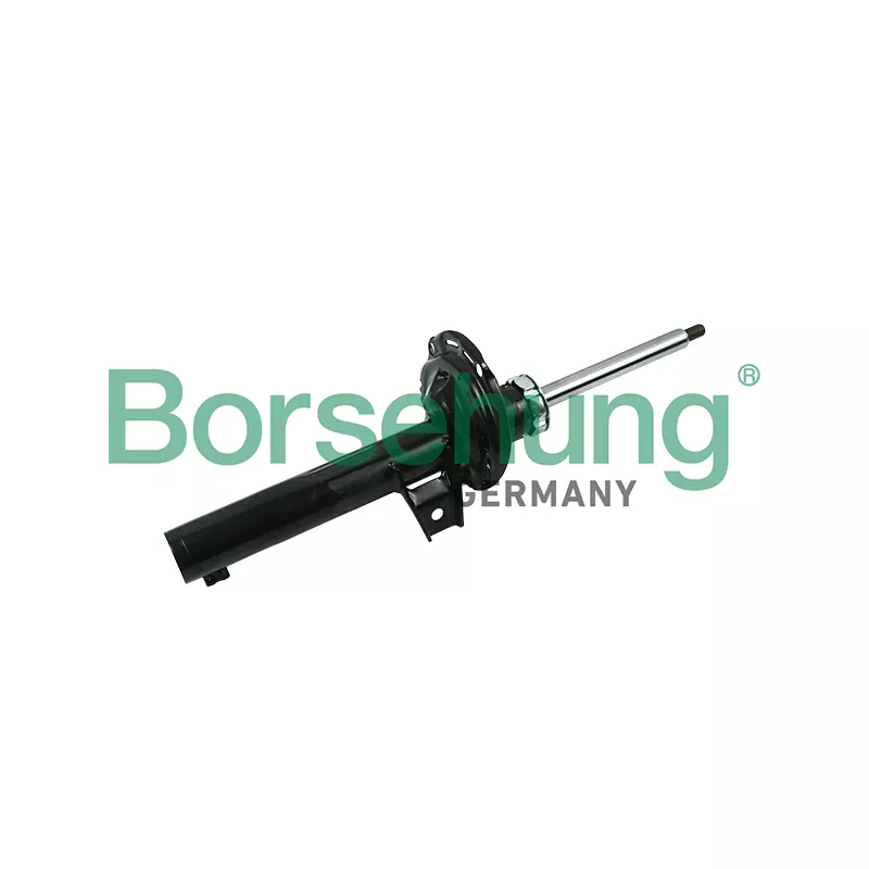 Jeu de 2 amortisseurs avant Borsehung B14724