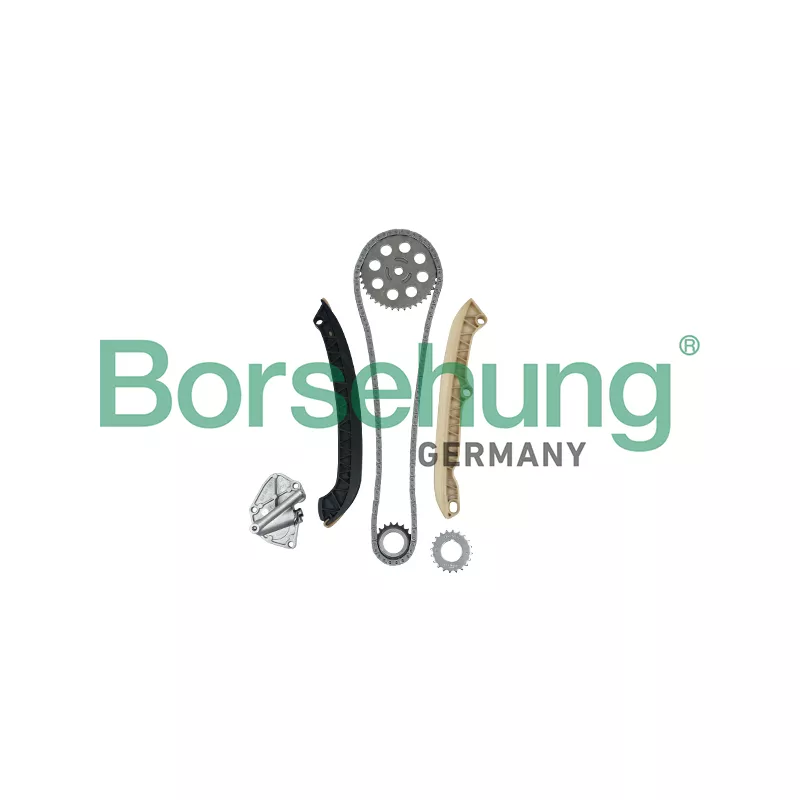 Kit de distribution par chaîne Borsehung B16294