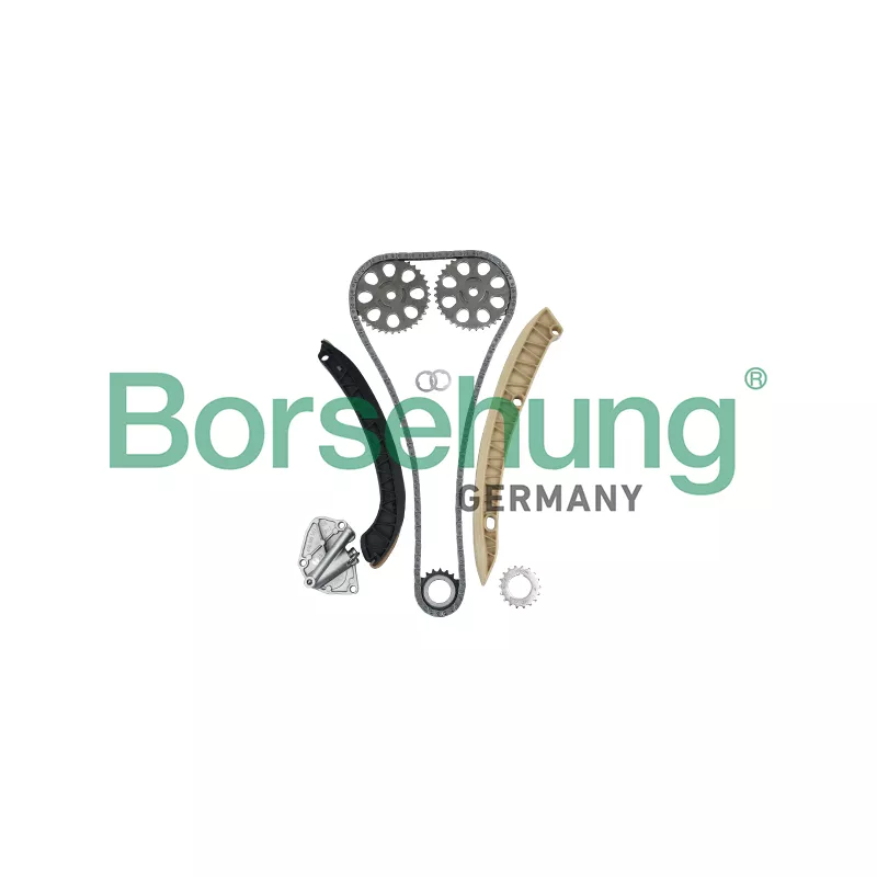 Kit de distribution par chaîne Borsehung B16295