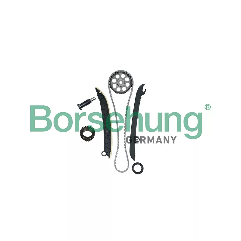 Kit de distribution par chaîne Borsehung B16297