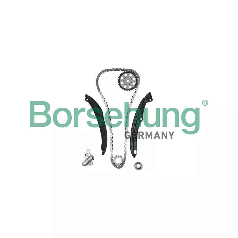Kit de distribution par chaîne Borsehung B16299