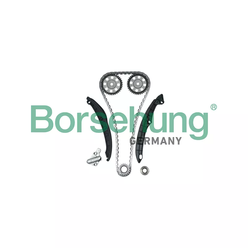 Kit de distribution par chaîne Borsehung B16300