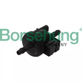 Soupape, filtre à charbon actif Borsehung