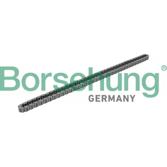 Chaîne de distribution Borsehung B17876
