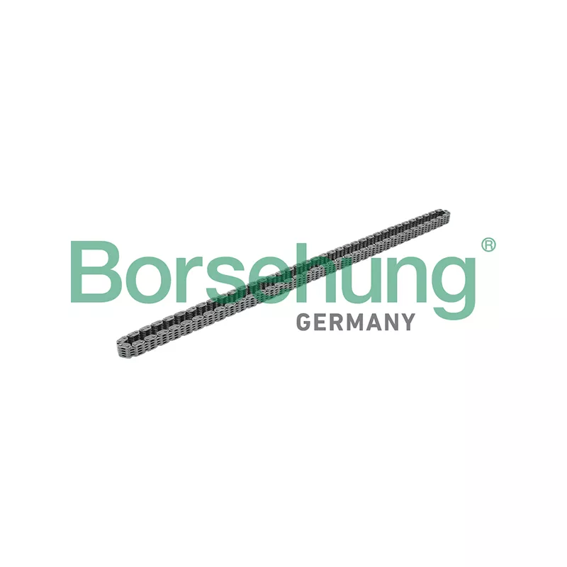 Chaîne de distribution Borsehung B17876