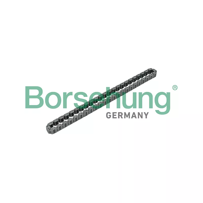 Chaîne de distribution Borsehung B17885
