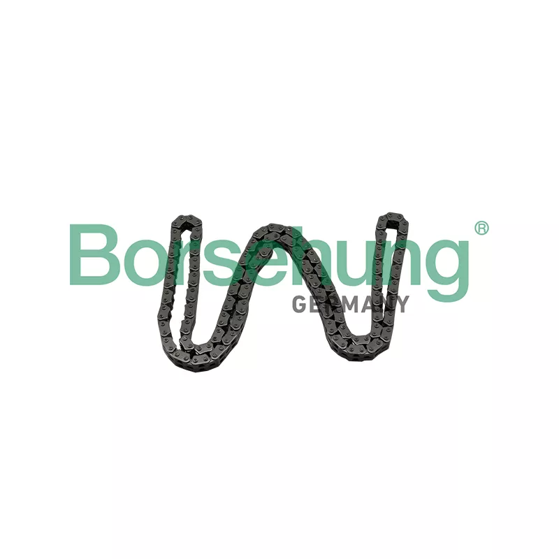 Chaîne de distribution Borsehung B17886