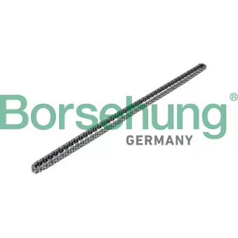 Chaîne de distribution Borsehung B17908