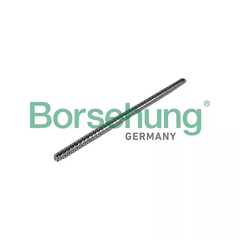 Chaîne de distribution Borsehung B17908