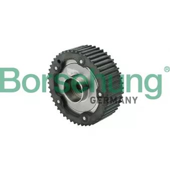 Dispositif de réglage électrique d'arbre à cames Borsehung