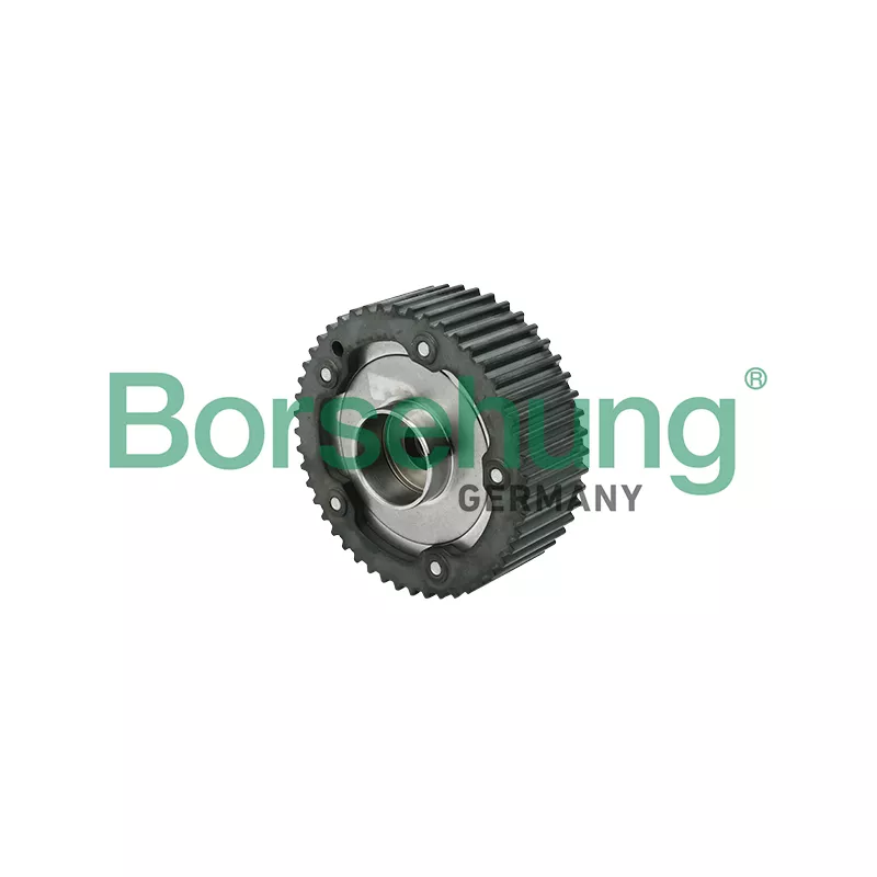 Dispositif de réglage électrique d'arbre à cames Borsehung B17948